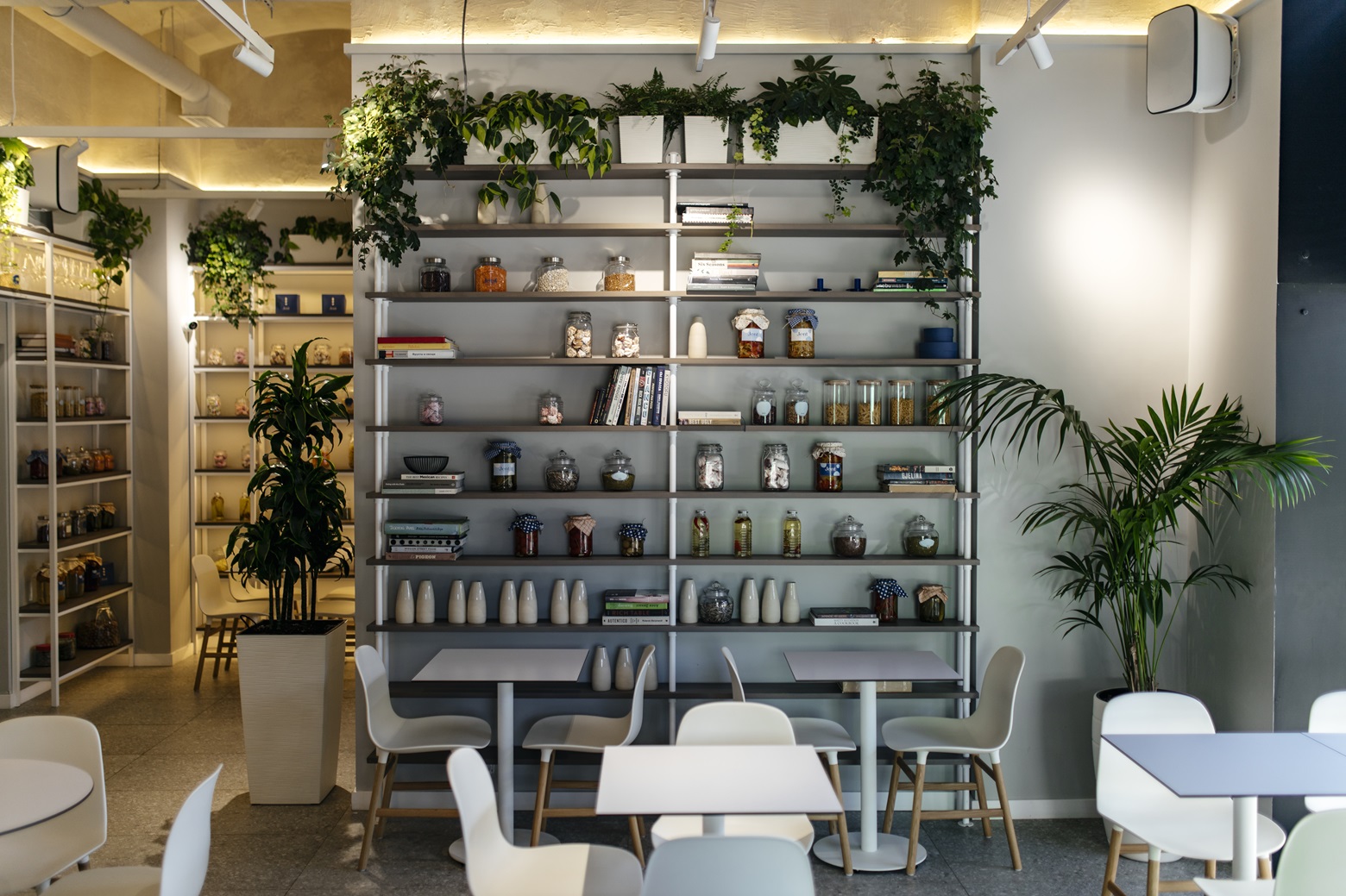 Lavka JENT by Proshenkov (5).jpg